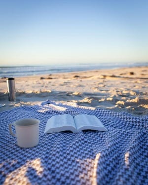 Summer Book Pairings